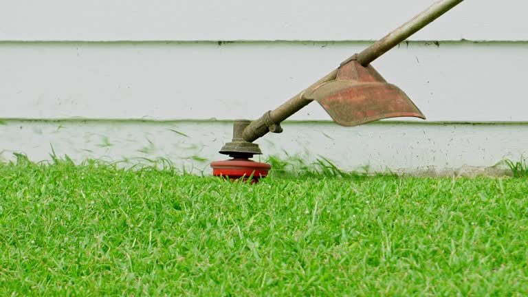 Best Lawn Irrigation Installation and Maintenance  in Belle Haven, VA